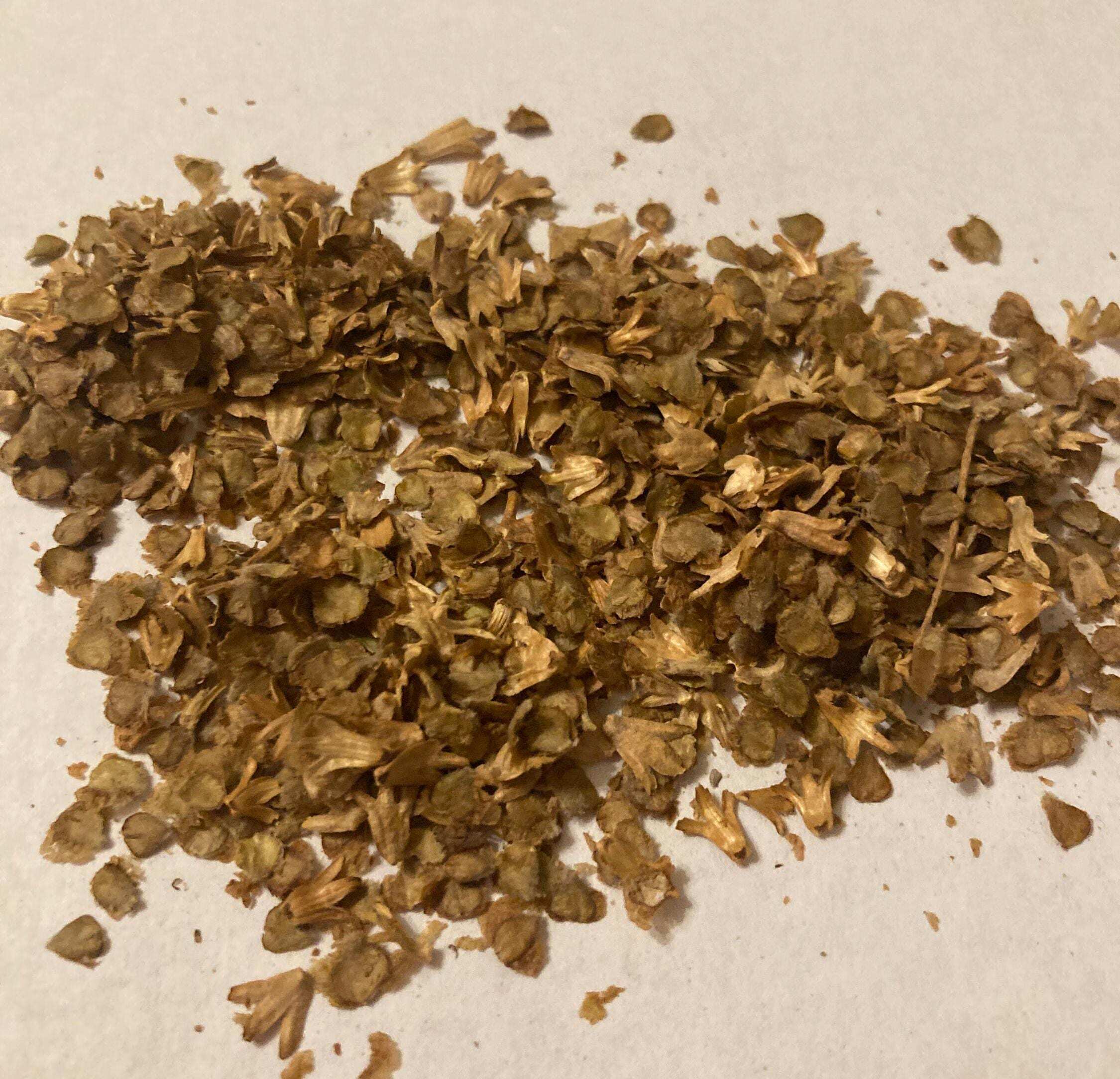 River Birch Tree Form