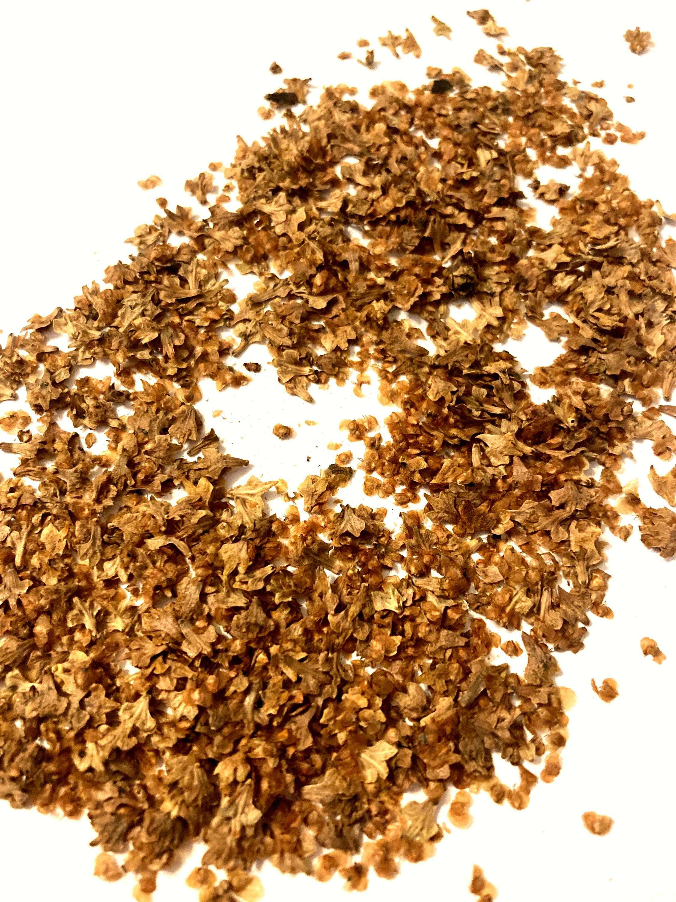 thumbnail interactive-video image 1 of Paper Birch Tree Seeds – Perennial – Unbranded 1 of 4